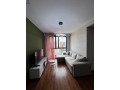 shitet-apartament-11-kompleksi-turdiuish-fusha-e-aviacionit-small-0