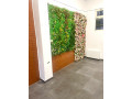 dyqan-me-qera-tek-21-dhjetori-id-bd21923-small-0