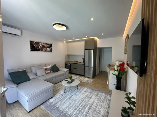 vile-me-qera-11-ne-5-maj-id-bv22649-tirane-big-0