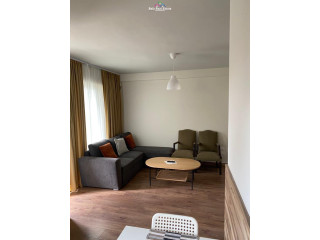 Apartament 1+1 Me Qera Tek Liqeni I Thate (ID B210552) Tirane.