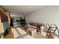 apartament-me-qera-11-tek-farmaci-10-id-b210874-tirane-small-0