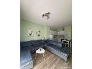 Apartament Me Qera 1+1 Ne Qender (ID B210791) Tirane,,.