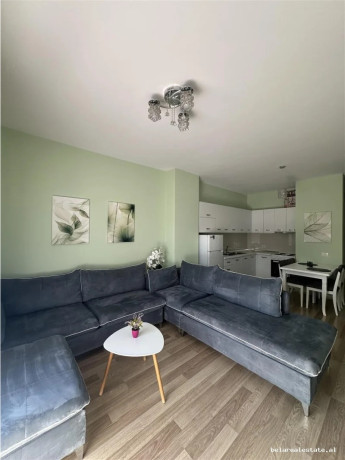 apartament-me-qera-11-ne-qender-id-b210791-tirane-big-0