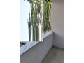 zyre-me-qera-tek-rruga-e-kavajes-id-bz2250-tirane-small-3