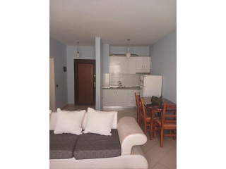 Apartament me qera 1+1 ne Fresk (ID B2101818) Tirane