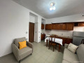 apartament-me-qera-21-tek-rruga-e-durresit-id-b221439-tirane-small-0