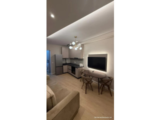 Apartament Me Qera 1+1 Tek Ali Demi (ID B2101795) Tirane