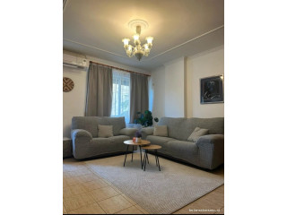 Apartament me Qera 1+1 Ne Qender (ID B2101751) Tirane,,/,