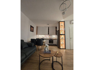 Apartament 1+1 Me Qera ne Fresk (ID B2101824) Tirane,,/,