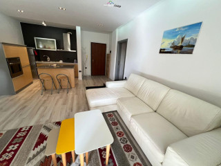 Apartament Me Qera 1+1 Tek Rruga e Elbasanit (ID B2101318) Tirane,.,.
