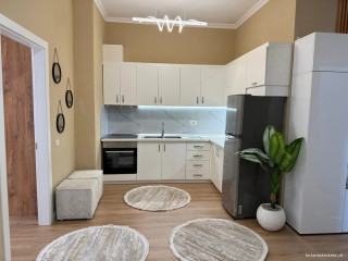 Apartament Me Qera 1+1 Tek Kopshti Botanik (ID B2101828) Tirane.,.,,.