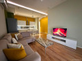 apartament-me-qera-21-tek-rruga-e-kavajes-id-b2202004-tirane-small-0