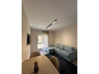 Apartament me qera 1+1 Tek Ali Demi (ID B2101087) Tirane..,.,.
