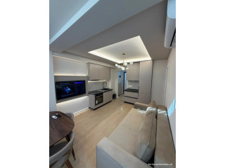 Apartament Me Qera 1+1 Tek Ali Demi (ID B2101822) Tirane.,.,.,