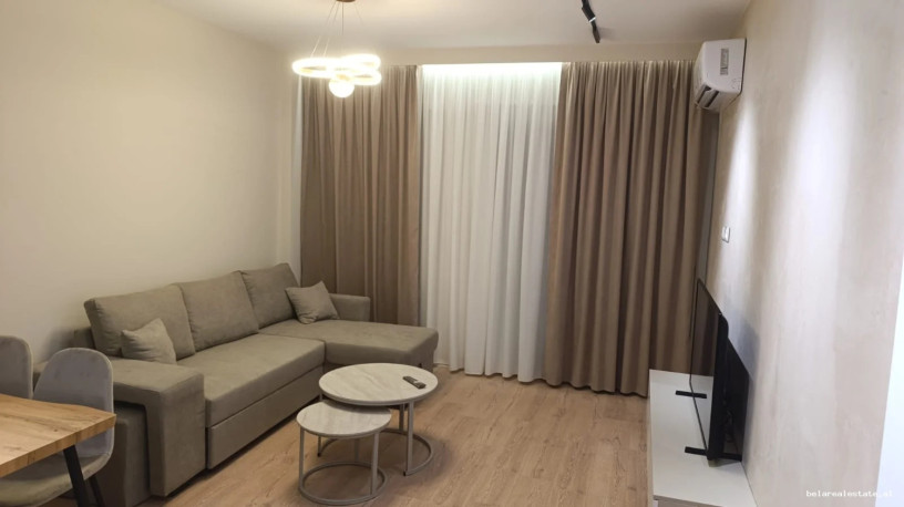 apartament-me-qera-11-tek-rruga-e-kavajes-id-b210405-tirane-big-0
