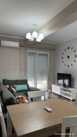 apartament-me-qera-11-tek-brryli-id-b2101845-tirane-big-0