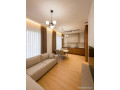 apartament-me-qera-11-ali-dem-id-b2101823-tirane-small-0