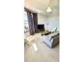 vile-me-qera-31-ne-qytet-studenti-id-bv22672-tirane-small-0