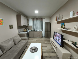 Apartament Me Qera 1+1 Tek Rruga e Durresit (ID B211479) Tirane.,.,.,