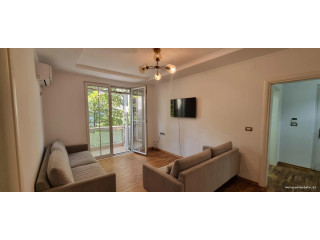 Apartament Me Qera 2+1 Tek Sheshi Willson (ID B221444) Tirane,..,.,.,////